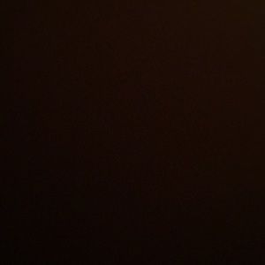 Meet your Posher, Ray